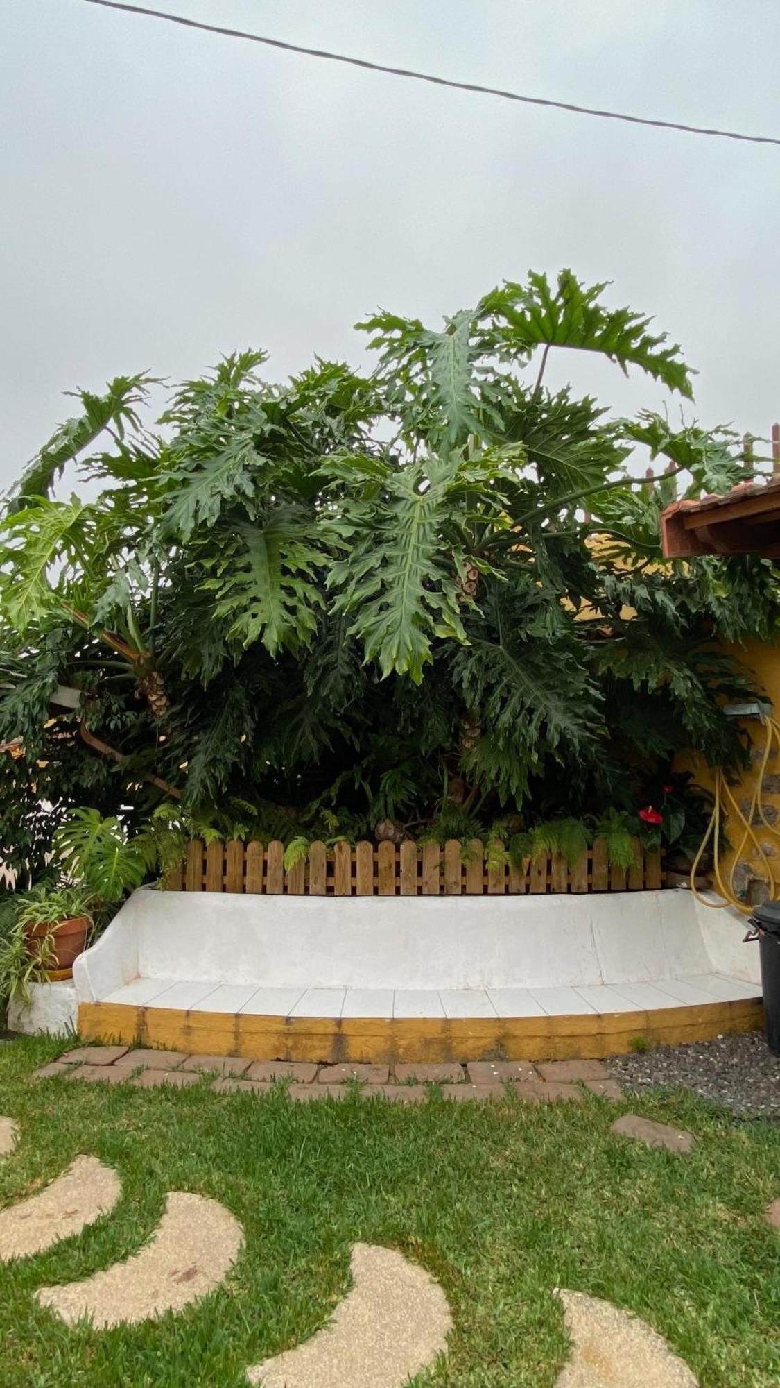 Casa Rural La Ganania Λος Ρεαλέχος Εξωτερικό φωτογραφία